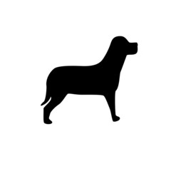 silhouette of a dog
