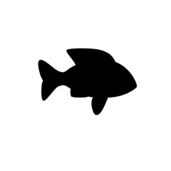 Fototapeta premium dolphin isolated on white