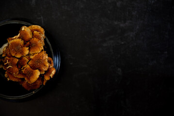 Top view of cinnamon cap mushrooms in black bowl on dark background. Left focused.