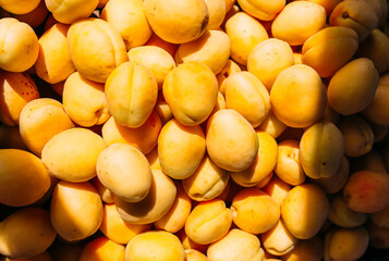  Bright juicy yellow apricots on a farmer's market stall