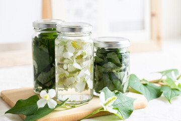 ドクダミ　チンキ　化粧水　手作りコスメ