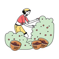 Woman gathering cherries in garden. Gardener, harvest, fruit flat vector illustration. Orchard, organic food, agriculture concept for banner