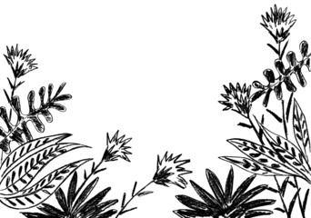 Grass, leaves, flowers are black on a white background