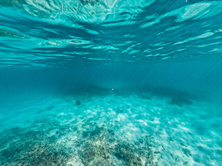 Fototapeta na wymiar Underwater at the beach on the island