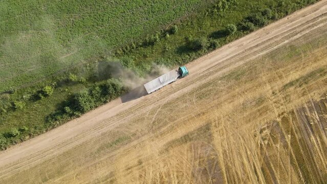 Aerial view of lorry cargo truck driving on dirt road between agricultural wheat fields. Transportation of grain after being harvested by combine harvester during harvesting season