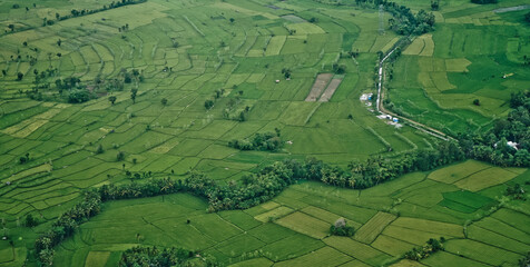 Rice field puzzle.
a series of rice fields from above is like a giant puzzle that is beautifully arranged
