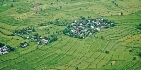 Rice field puzzle.
a series of rice fields from above is like a giant puzzle that is beautifully arranged
