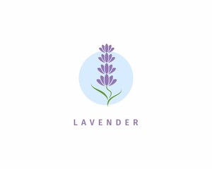 Fototapeta na wymiar Lavender flower logo vector design