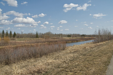 Obraz premium Pylypow Wetlands on a Sunny Spring Day