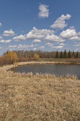 Pylypow Wetlands on a Sunny Spring Day