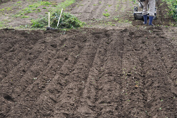 耕運機で耕した畑