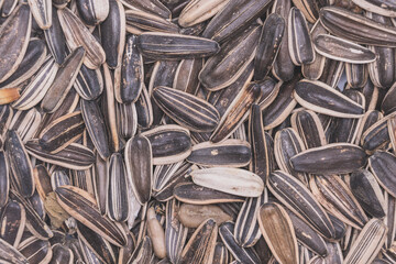 Background of raw sunflower seeds in gray, top view