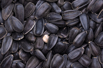 A lot of dry black sunflower seeds used for oil extraction