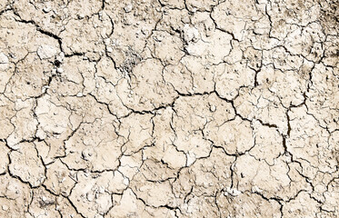 Top view cracked ground texture drought season background