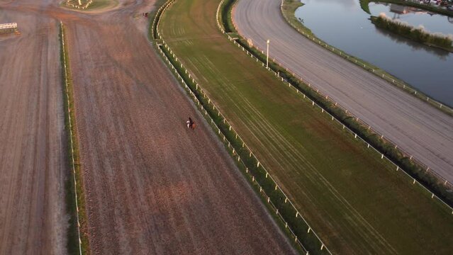 Solo horse equestrian crawling Hipodromo Palermo Buenos Aires Argentina