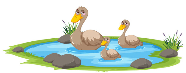 Duck in the pond on white background