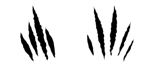 Cat scratches set. Black claws animal scratch, Torn paper. Cat claws trace. Vector illustration on black background.