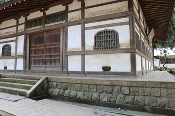 Obraz premium さるの群れ、高崎山自然動物園、大分県