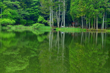 水鏡 ～ 龍王ヶ渕 (奈良県宇陀市)