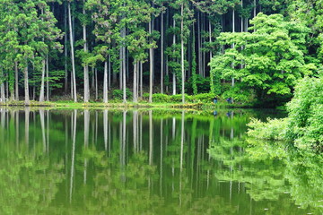 Obraz premium 水鏡 ～ 龍王ヶ渕 (奈良県宇陀市)