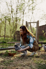 Naklejka na ściany i meble Happy woman farmer works at her country house in the chicken pen and examines them to check the health of young chickens