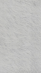 White Fur Background