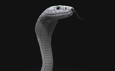 Fototapeta premium 3d Illustration of Albino king cobra snake isolated on black background, White cobra snake with clipping path.