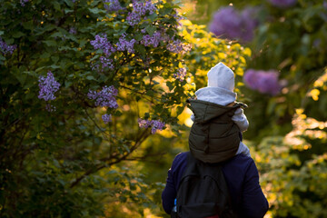 A man and a boy go hiking in the summer forest with a backpack for hiking. Portrait of a father and son sitting on his father's shoulders in the forest at sunset. The concept of travel.