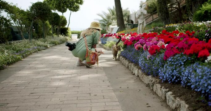 A young girl photographer is trying to caress a wild cat in the Augustus' Gardens in Capri, in Italy