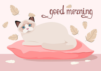 Cute cat on the pillow. Postcard. Good morning. Cartoon design.

