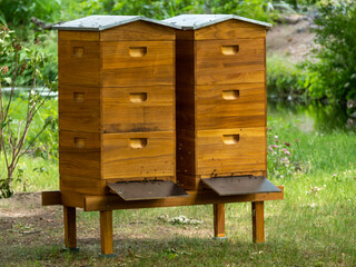 Bee hives. Wooden hives. Bees and beehive.
