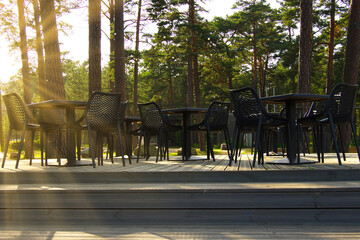 Cafe terrace in a pine forest. Rest at nature. Selective sharpness.