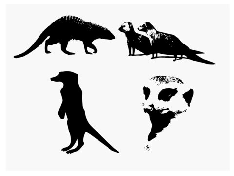 Mongoose Vector Art, Icons, and Graphics for Free EPS