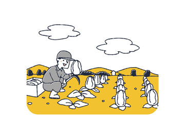 白菜を収穫する男性　農作物の生産に関わる人々　コミカルな手書きの人物　ベクター、温かみのある線画