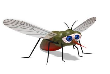 mosquito insect  3D