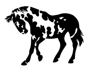 vector spotted mustang silhouette