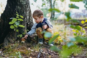 happy little boy found an edible boletus mushroom under the tree
