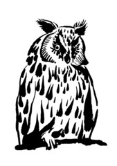 drawing picture of long-eared spotted owl, icon isolated on white background, sketch, hand drawn digital vector illustration