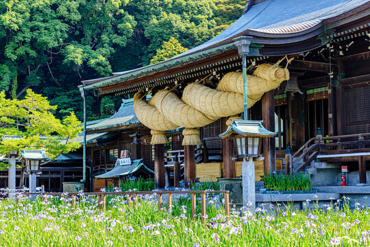宮地嶽神社 Images Browse 361 Stock Photos Vectors And Video Adobe Stock