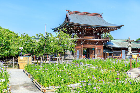宮地嶽神社 Images Browse 361 Stock Photos Vectors And Video Adobe Stock