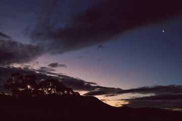 purple sunset over the mountains with crescent moon and eucalyptus gum trees silhouettes
