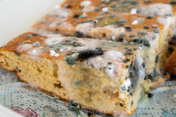 moldy cake covered in mold, Majorca, Balearic Islands, Spain