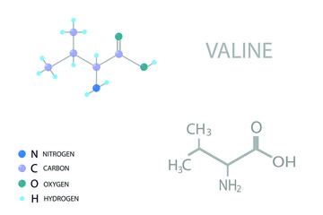 Valine molecular skeletal 3D chemical formula.	