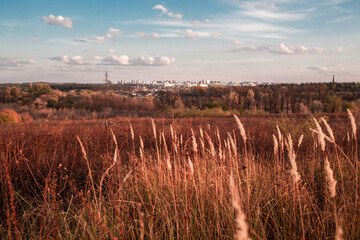 Autumn landscape of city on sunset. Red grass in autumn field under dramatic blue sky.