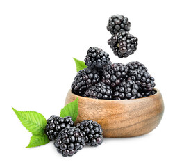 plate with fresh blackberries and falling berries on a white isolated background