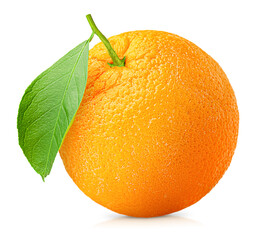 one whole orange with a leaf on a white isolated background
