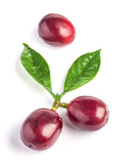 Red coffee beans isolated on white background