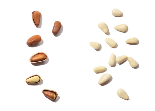 Pine seeds, pine nuts