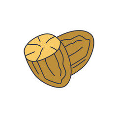 Nutmeg icon in color, isolated on white background 