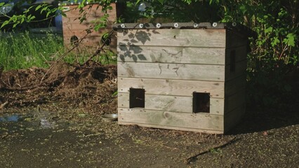 Shelter Boxes For Urban Homeless Cats